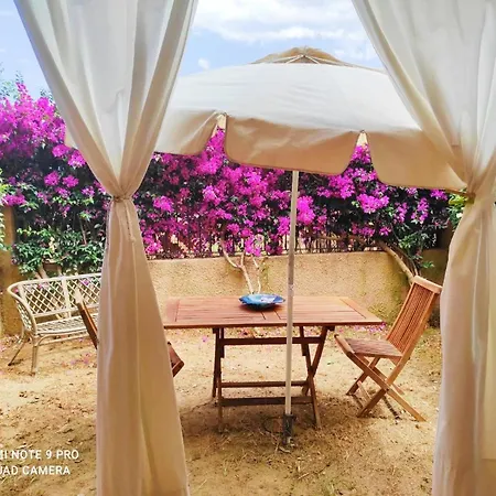 Appart T2 Plein Pied Avec Jardinet Tres Bien Situe Apartman Olbia